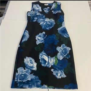 Calvin Klein Floral Dress Sz12